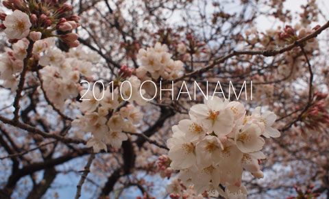 100401_hanami