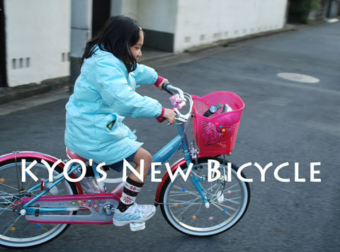 081215_bicycle
